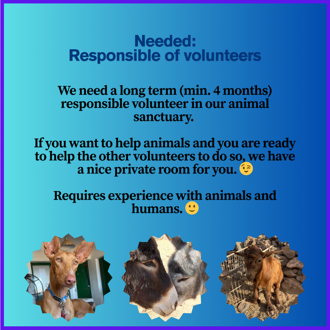 Cartel de voluntariado
